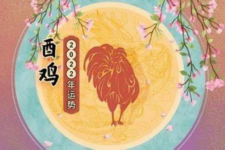 生肖鸡女今年运势查询