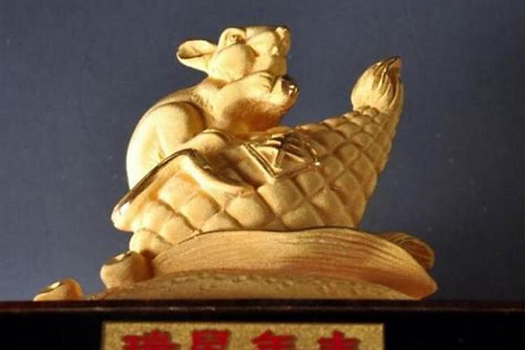 鼠是什么命？
