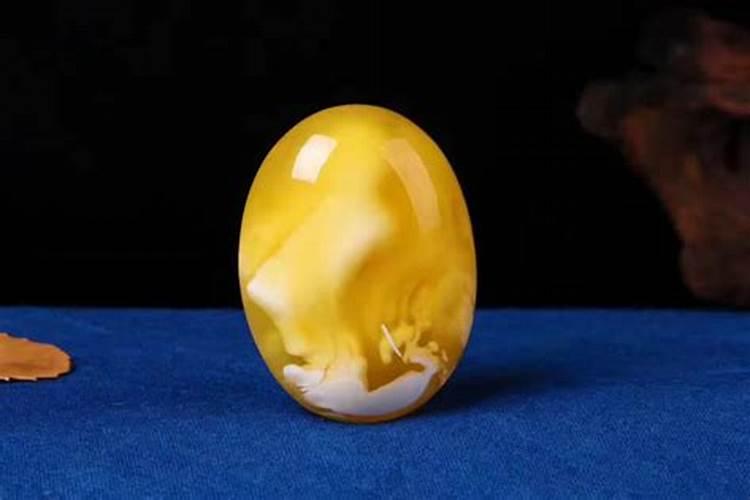 带金绞蜜助什么运势？