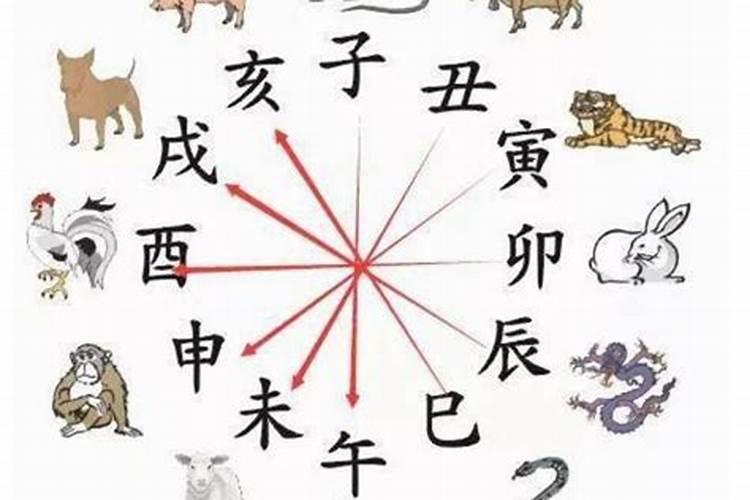 本命年虎注意什么生肖和属相相克？