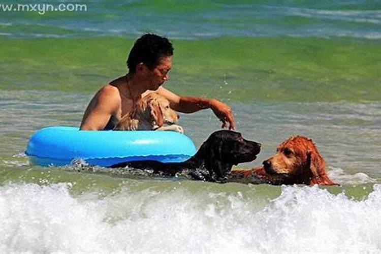 梦见大海里游泳去远方玩