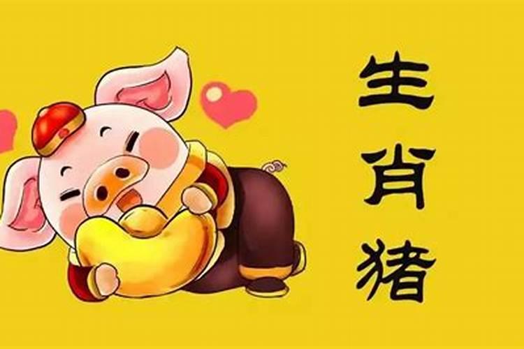 属猪婚配忌什么属相？