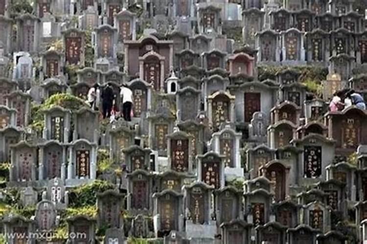 梦到去扫墓预示着什么周公解梦？