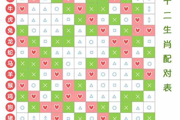 十二属相对冲表
