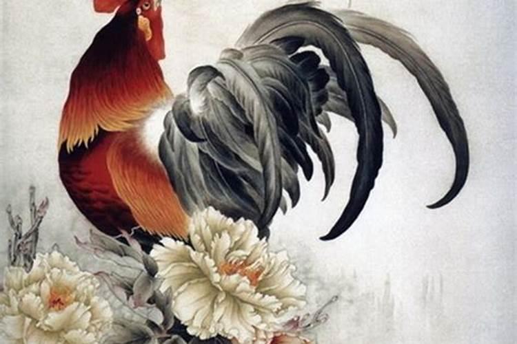 鸡年婚配什么属相合适？