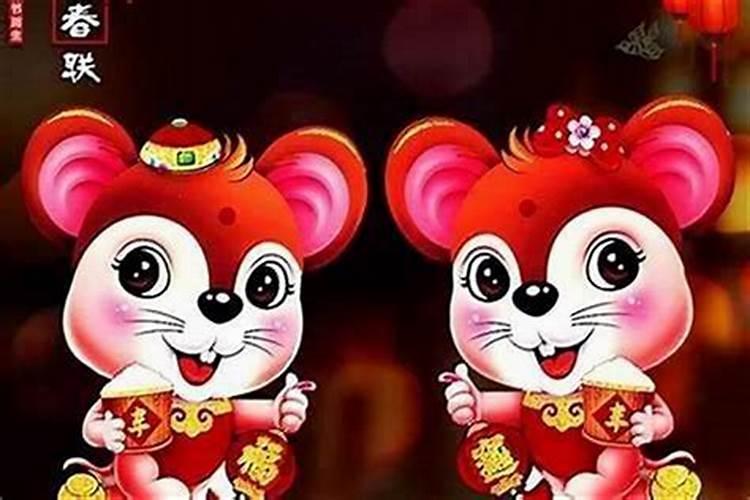 属鼠跟什么属相合婚？