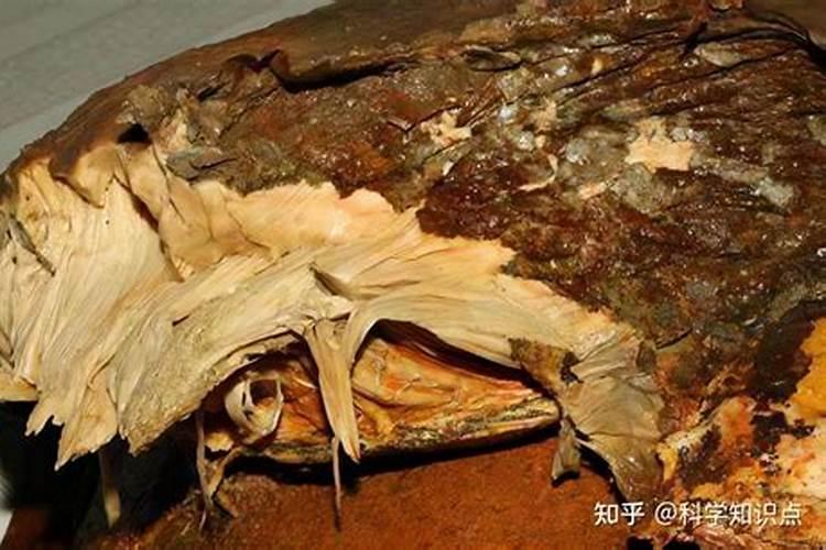 太岁不能吃为什么还要卖那么贵？