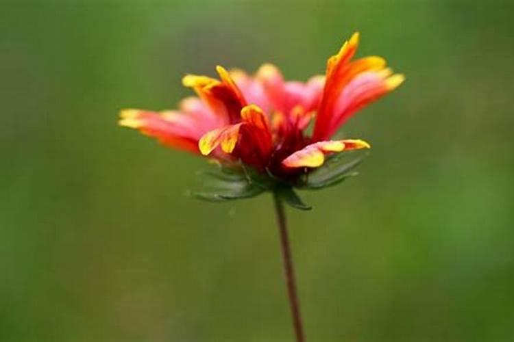 2026要开始赚钱的星座