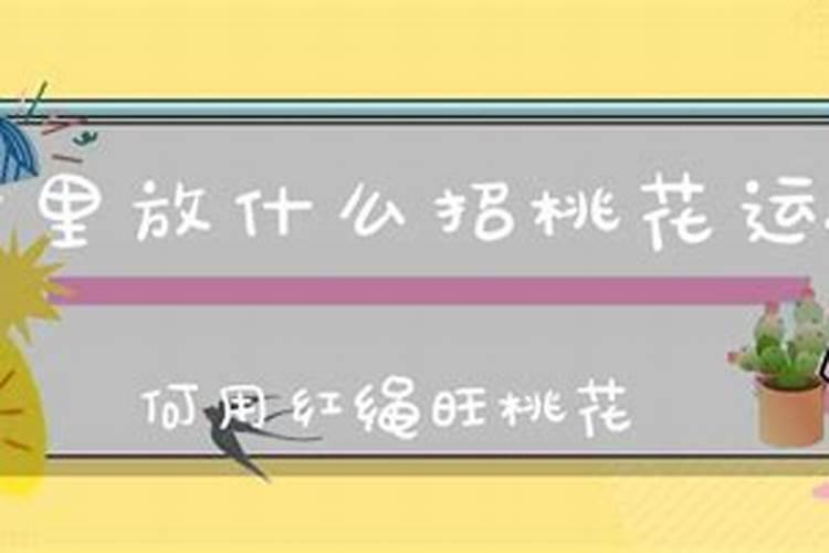 房子里放什么能催旺桃花运？