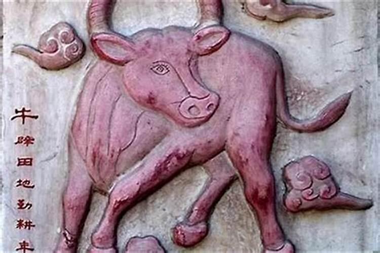 1985年的牛2026年运势