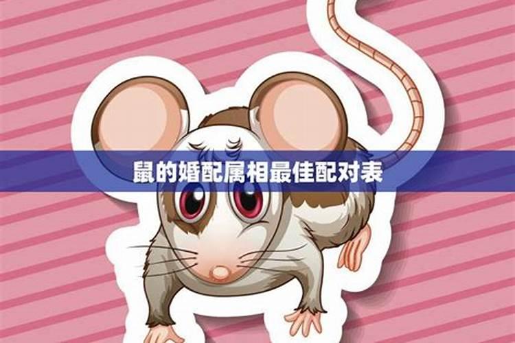 鼠肖婚配最佳属相是哪个？
