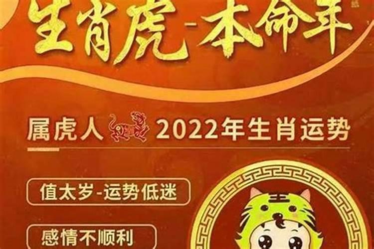 属虎的人2026年运程月