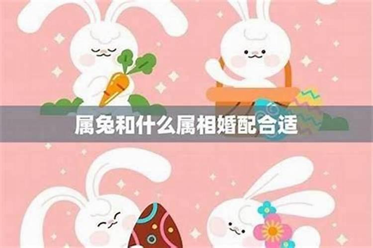 兔属相婚配如何化解？