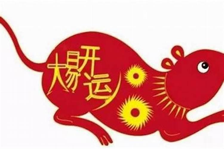 本命年鼠和什么相冲？