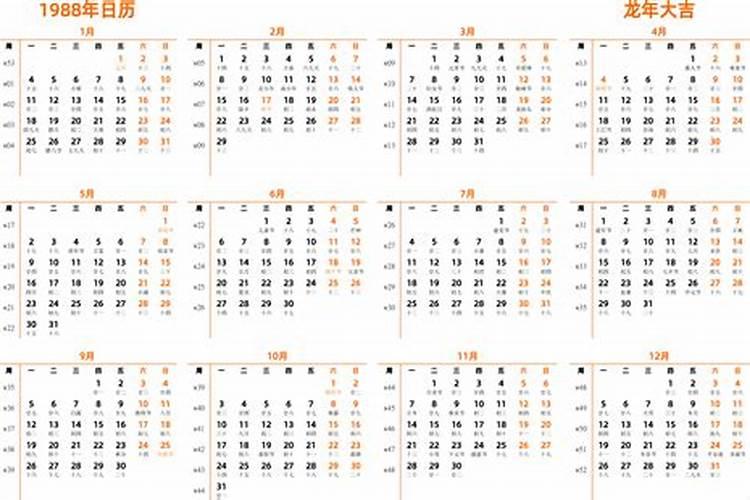 农历1988年2月初六运势如何？