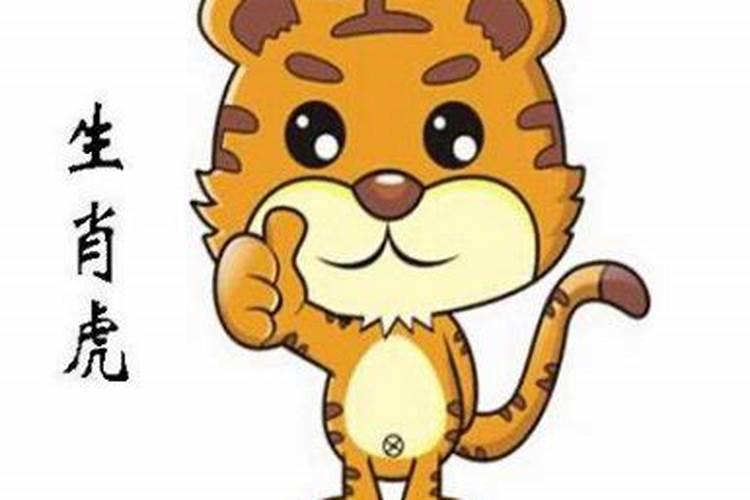 属虎的今年的运程如何？