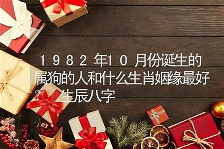 属狗的生辰八字什么时候最好的？
