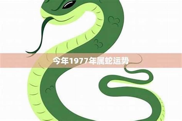 77年蛇女的2026年运势