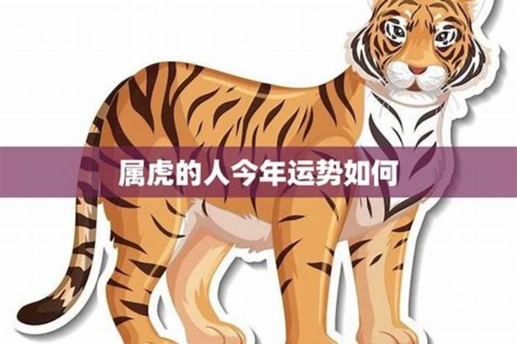 属虎人今年9月份感情运势