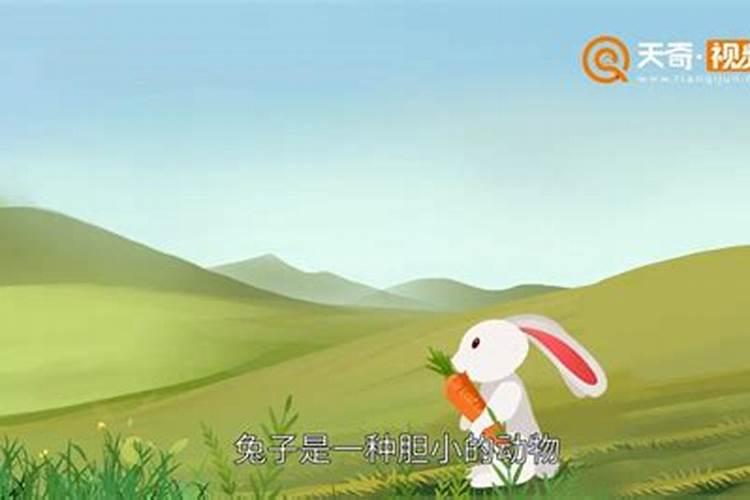 梦见红色的兔子是什么意思啊？