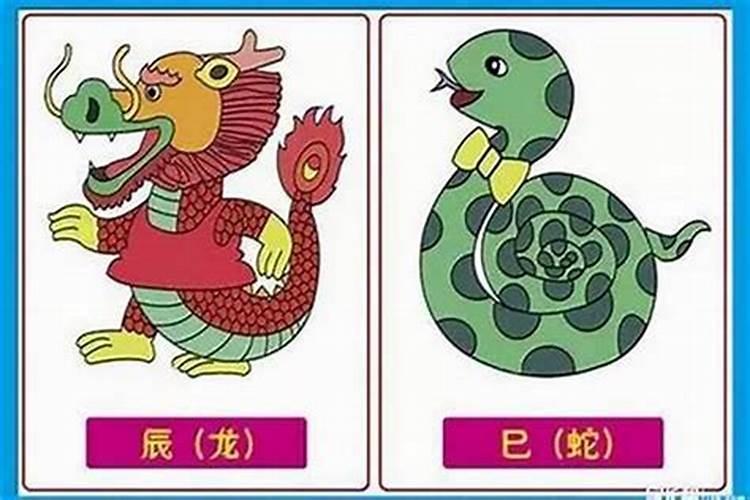 蛇与虎属相婚配好吗？