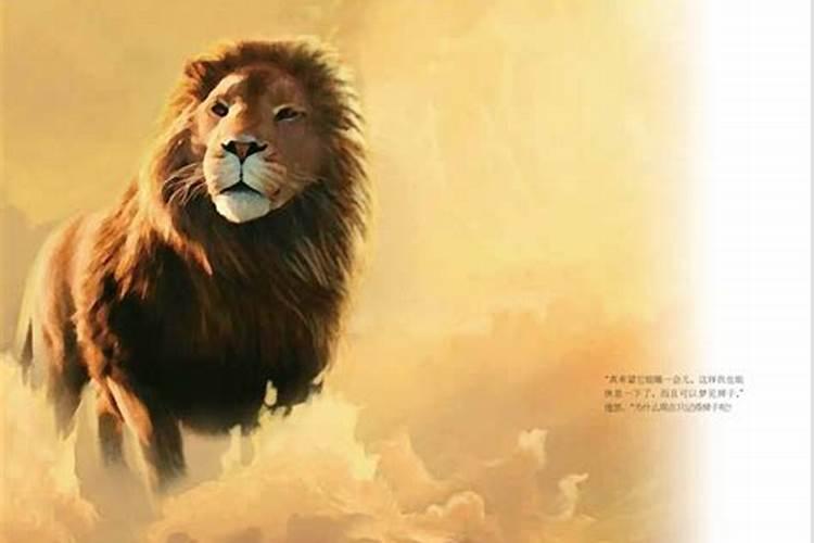 老人与海为什么梦见狮子？