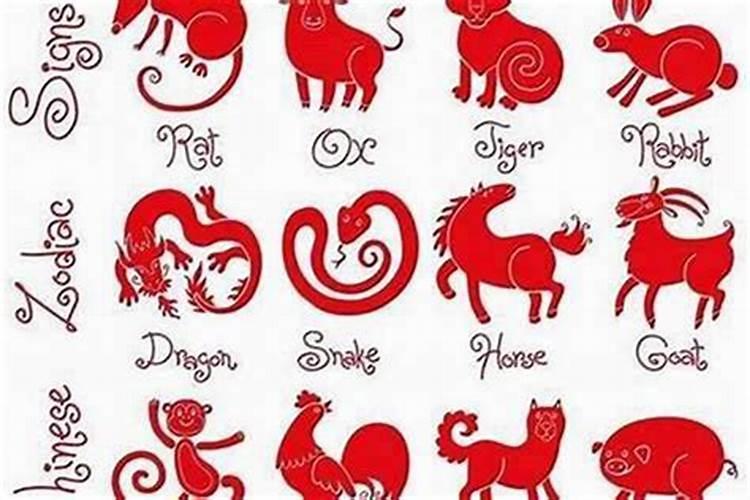 十二月二十六生的命运