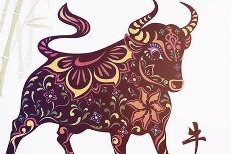 属牛女人一生运势