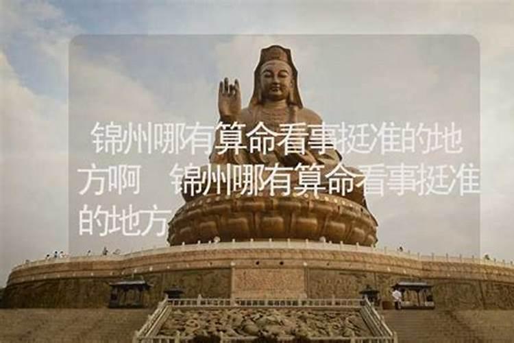 锦州哪里有算命的高人？