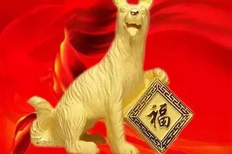 属狗的猪年的运程怎么样？