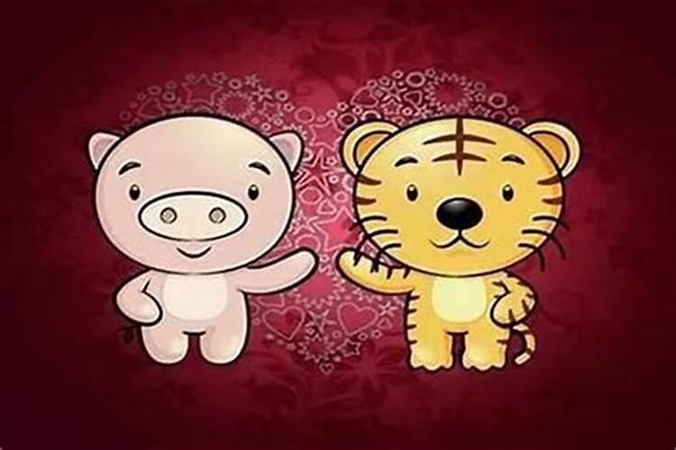 女子属虎和男子属猪合婚吗？