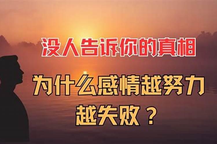婚姻感情不顺的原因