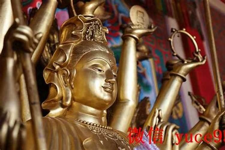 算命的能算到姻缘吗？