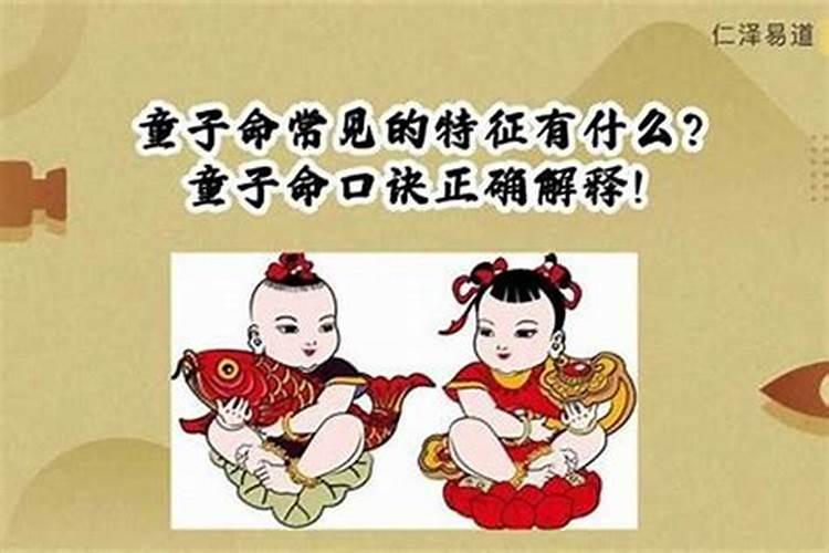 童子命是什么生肖？