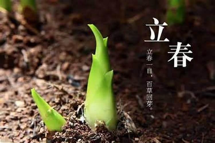 2002年立春几月几日？