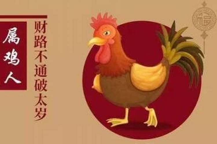 鸡破太岁是什么意思？
