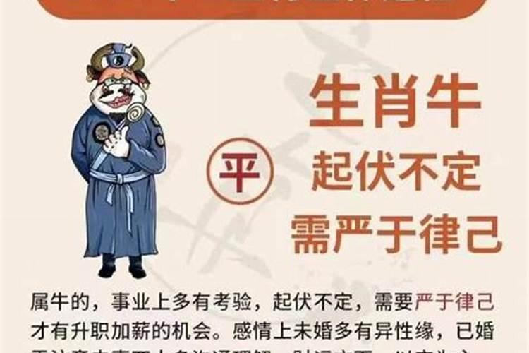 虎年犯太岁的生肖到底怎么办？