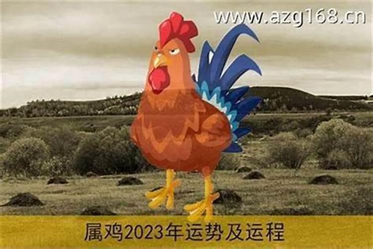 12月出生鸡的运程如何？