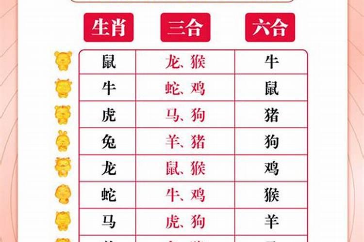 三合婚姻指什么生肖？