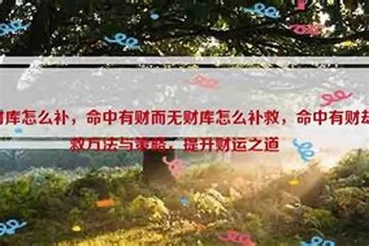 命中无财库怎么补？