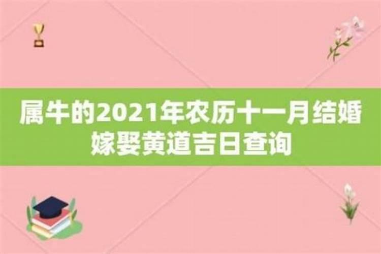 属牛本命年几月份适合结婚？