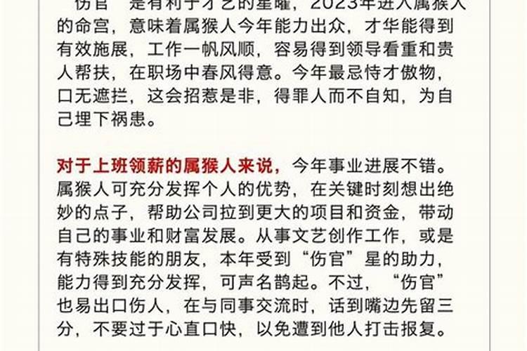 猴子在2026年运程