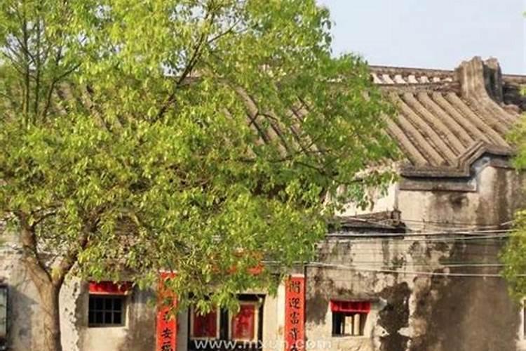 梦见回老家了梦见狗