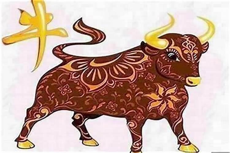 属牛的找什么对象最好？