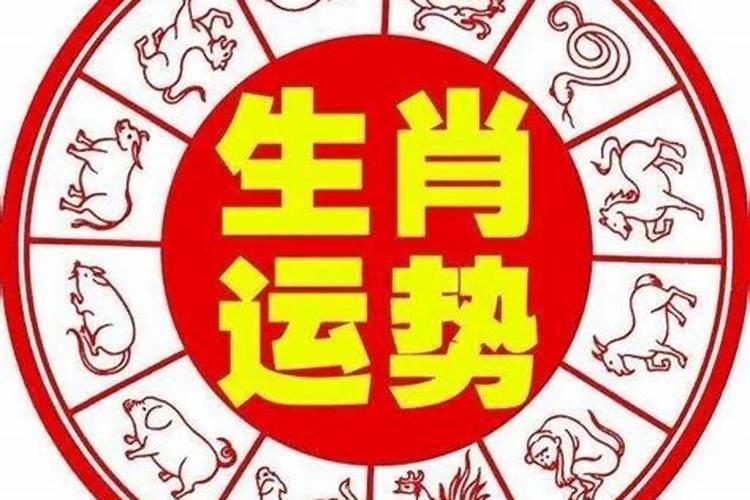 54年生今年运势如何？