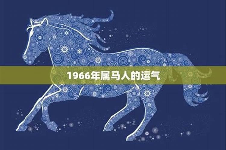 1966年马男2026年运势