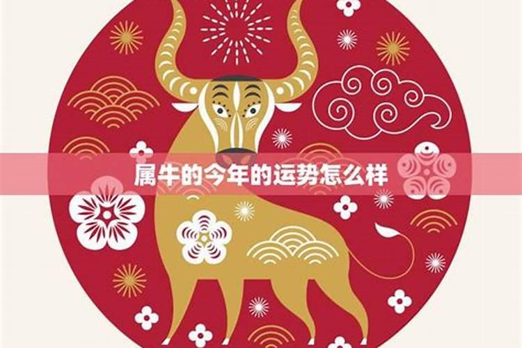 属牛农历9月份运势怎么样？