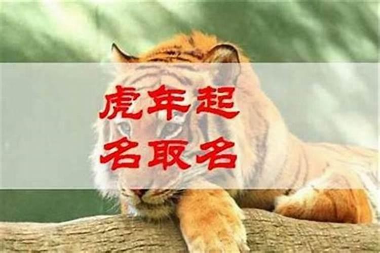 属虎的男孩最佳名字姓氏王