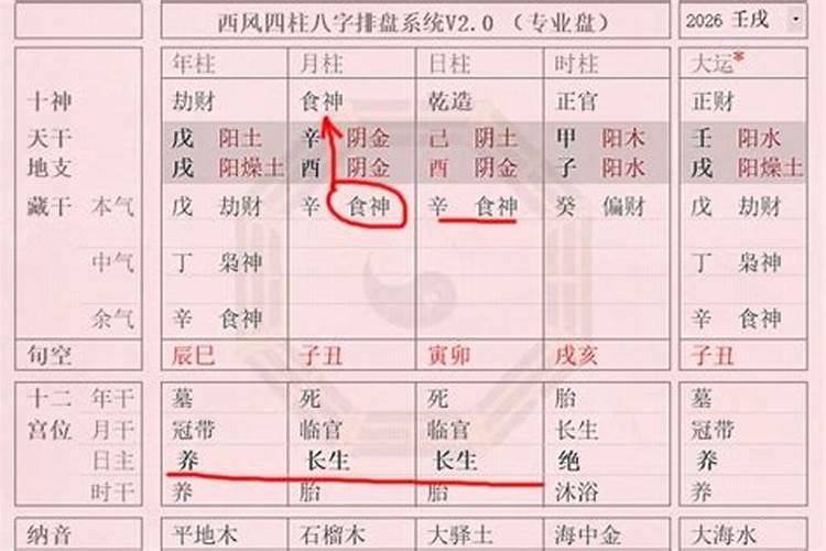 生辰八字上没有食神怎么解释？
