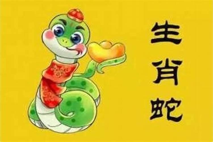 属蛇的今年犯太岁了没有